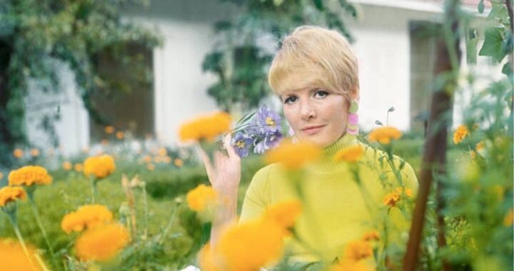 Petula Clark – I Know A Place (1965)