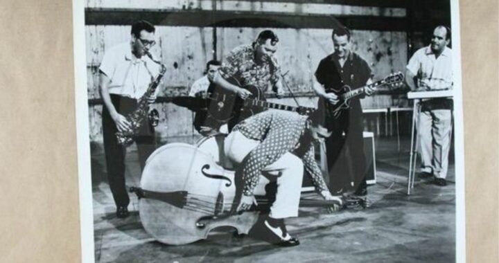 Bill Haley & His Comets – See You Later, Alligator 1956