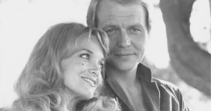 David Soul – Silver Lady 1977