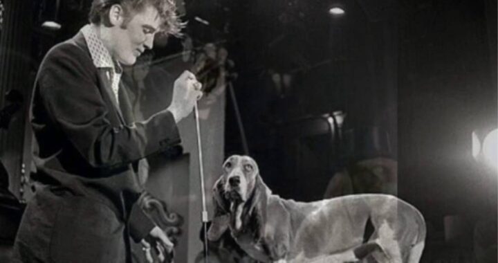 Elvis Presley – Hound Dog 1956