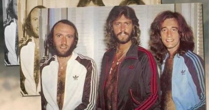 Bee Gees – Fanny (Be Tender with My Love) 1975